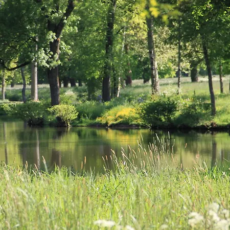 Chateau De Brissac-Quincé