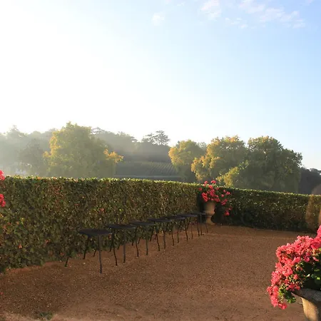 Chateau De Brissac-Quincé